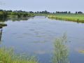 2022 07 20 17.06.06 DSC 3356 kasteel muiderslot omgeving