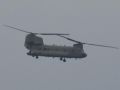 2022 11 04 10.26.44 DSC 6004 chinook