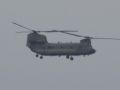 2022 11 04 10.27.02 DSC 6016 chinook