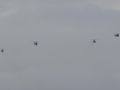 2022 11 04 10.32.46 DSC 6017 4x armada helicopters