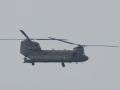 2022 11 04 12.33.46 DSC 6125 chinook