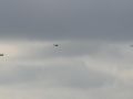 2022 11 04 12.58.35 DSC 6147 nh 90en chinook