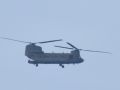 2022 11 04 12.59.19 DSC 6159 chinook
