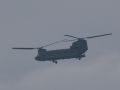 2022 11 04 15.00.41 DSC 6195 chinook