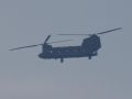 2022 11 04 15.30.19 DSC 6232 Chinook