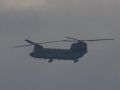 2022 11 04 15.57.57 DSC 6256 chinook