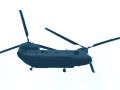 DSC 6317 chinook