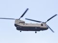 DSC 6409 chinook