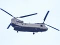 DSC 6412 chinook