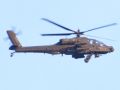 DSC 6434 apache