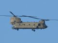 DSC 6555 chinook
