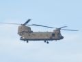 DSC 6620 chinook