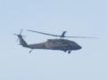 DSC 6649 Black hawk